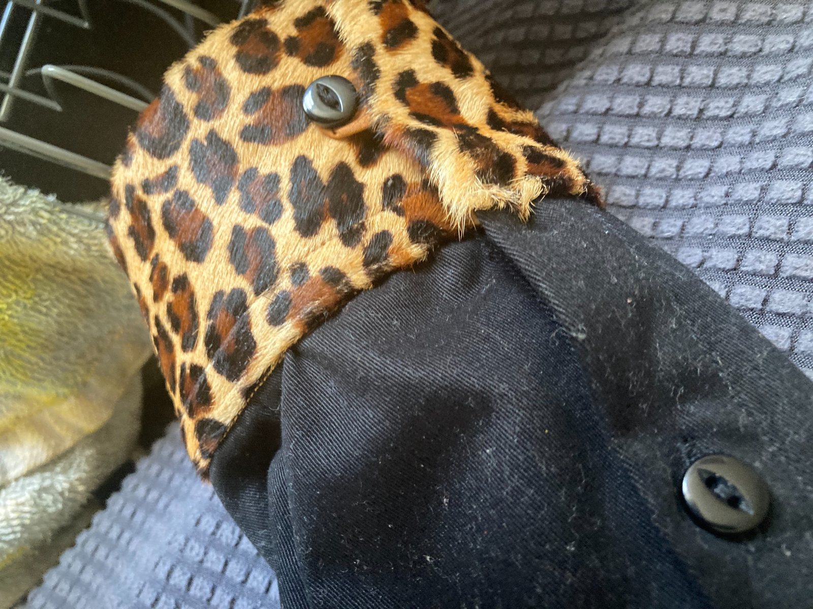 Close-up of heavyweight leopard pattern material